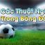 Hiểu rõ về thuật ngữ cá độ bóng đá